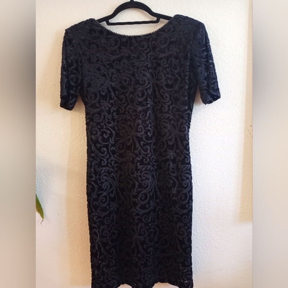 Vintage Nina Piccalino Whimsigoth Velvet Burnout dress with Sheer Sleeves